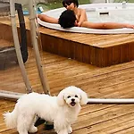 Patty Con E Piscina Lejlighed Assisi