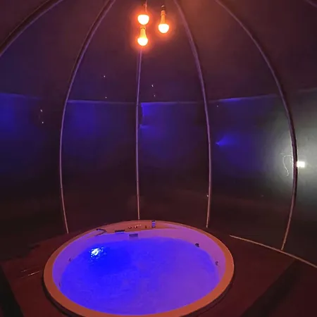 Patty Con Daire Assisi