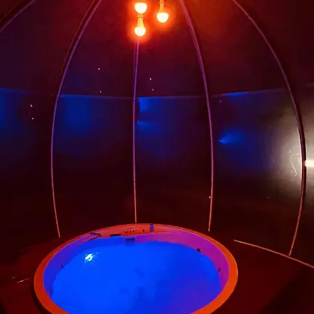 Daire Patty Con Assisi