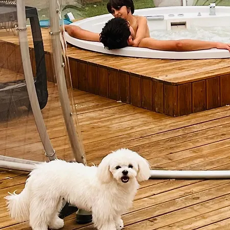 Patty Con E Piscina 아파트 아시시