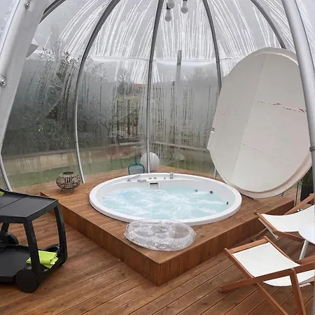 Patty Con Daire Assisi