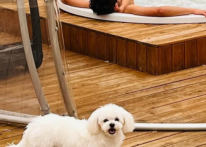 Patty Con E Piscina Apartamento Assisi